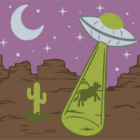 Home on the Strange Socks