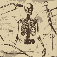 Antique Medical Socks