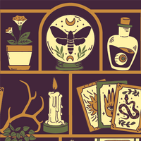 Cabinet of Curiosities Socks