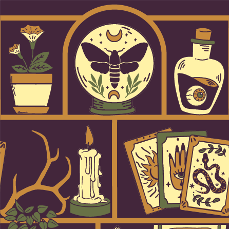 Cabinet of Curiosities Socks