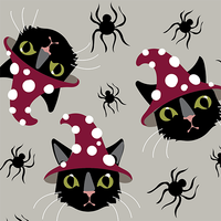 Witchy Whiskers Socks