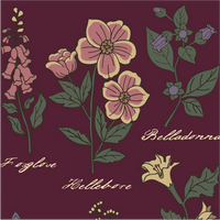 Baneful Botany Socks