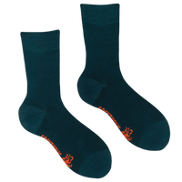 Absinthe - Bamboo Colours Socks