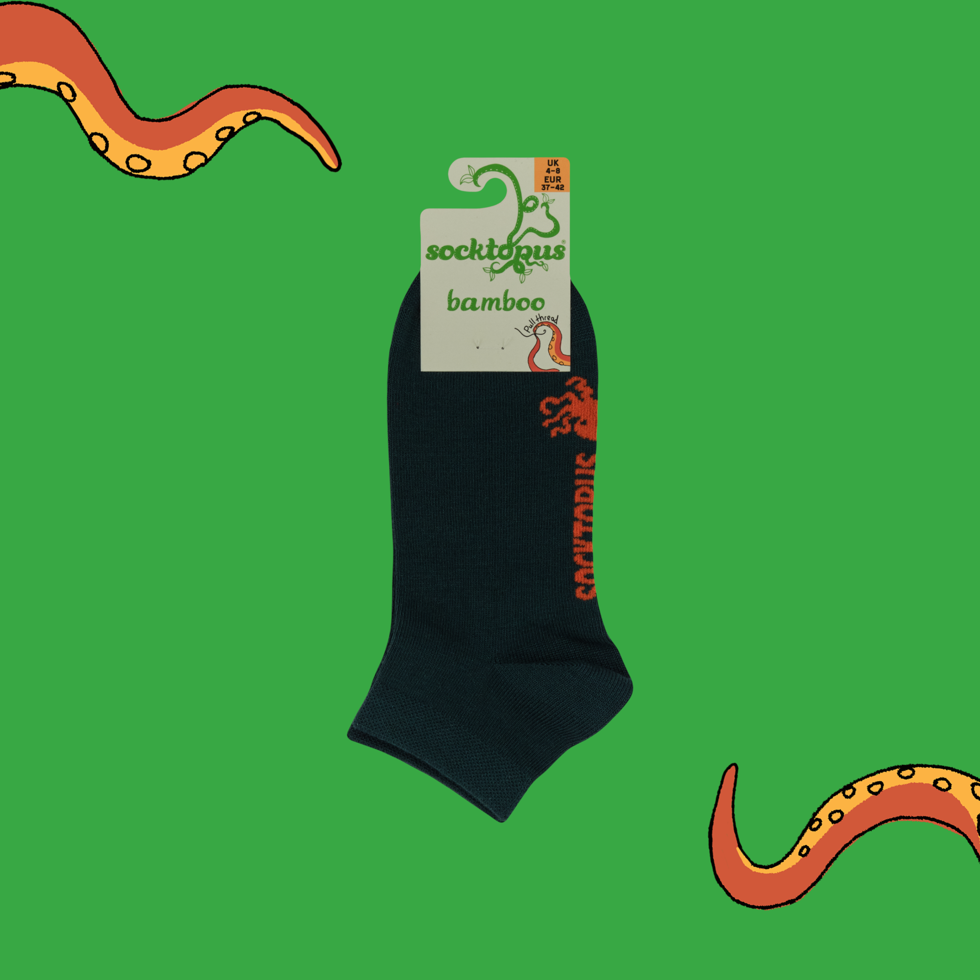 Absinthe - Bamboo Colours Trainer Socks