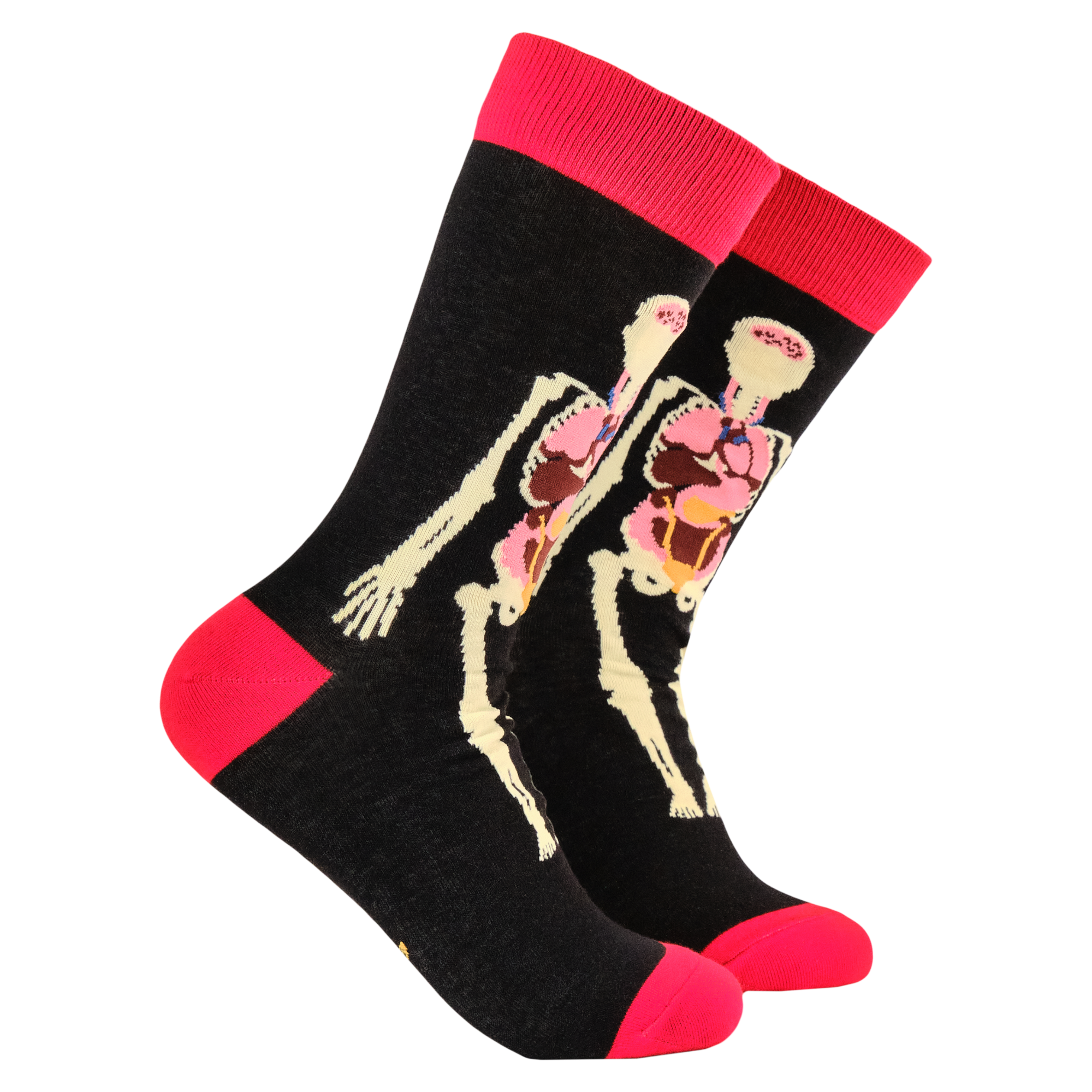Anatomy Bamboo Socks