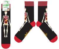 Anatomy Bamboo Socks