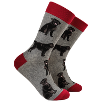 Black Labrador Dog Socks - Labradorable