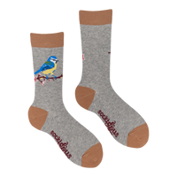 Blue Tit Socks - Robert E Fuller