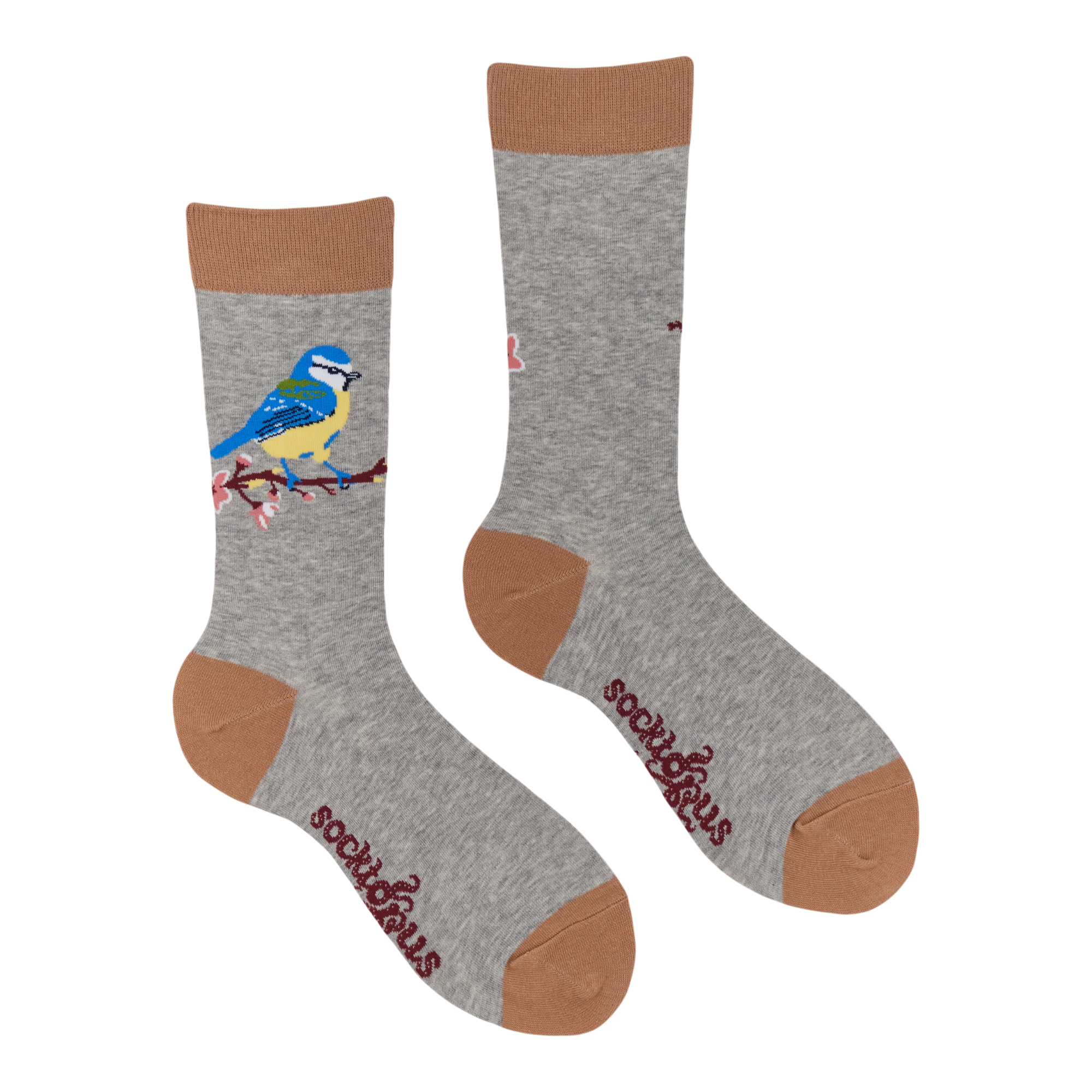Blue Tit Socks - Robert E Fuller