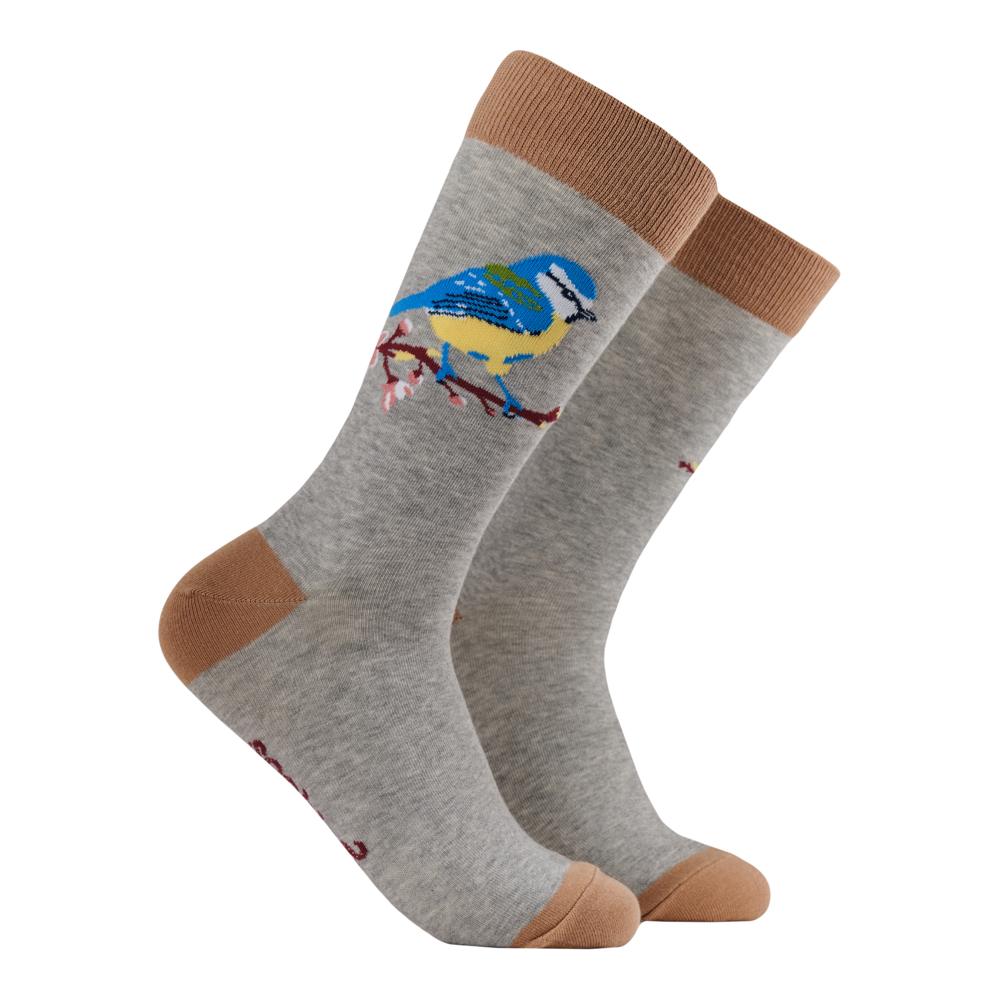 Blue Tit Socks - Robert E Fuller