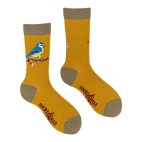 Blue Tit Socks - Robert E Fuller
