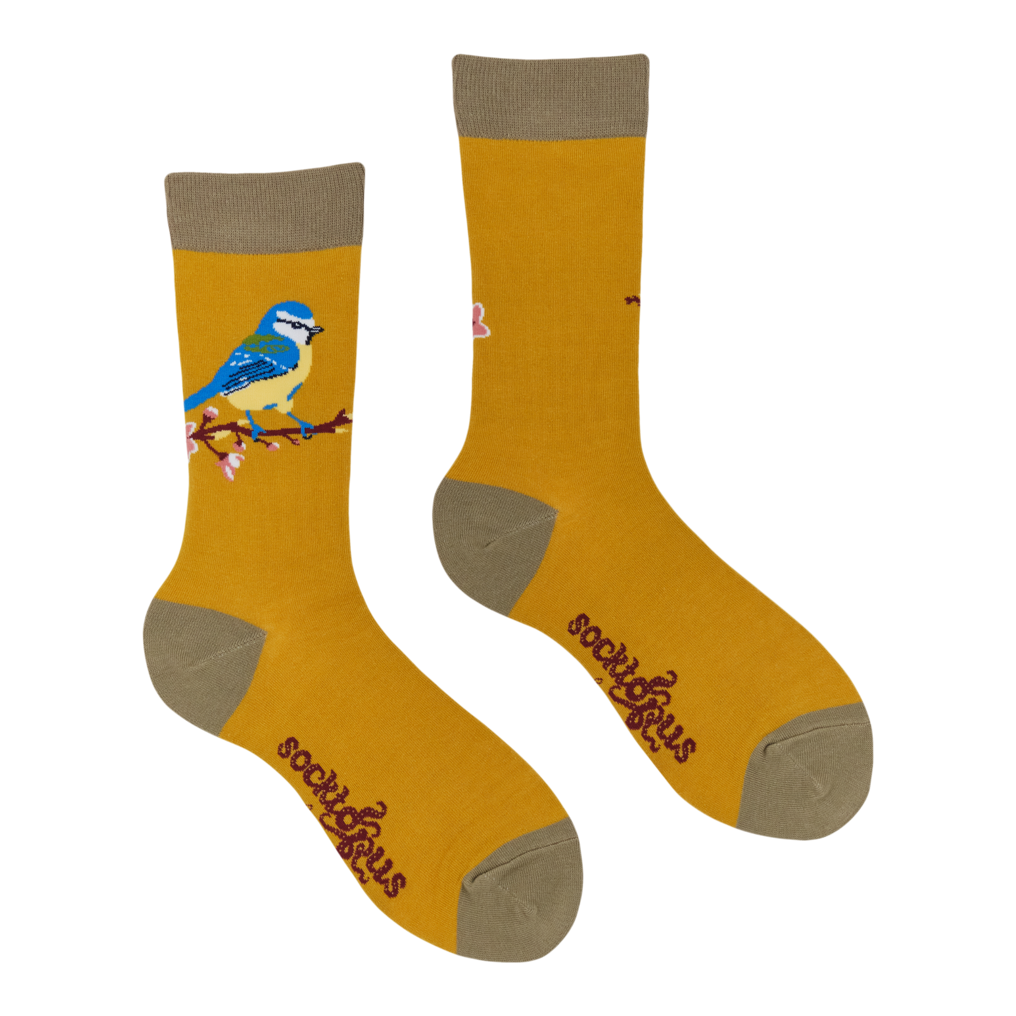 Blue Tit Socks - Robert E Fuller
