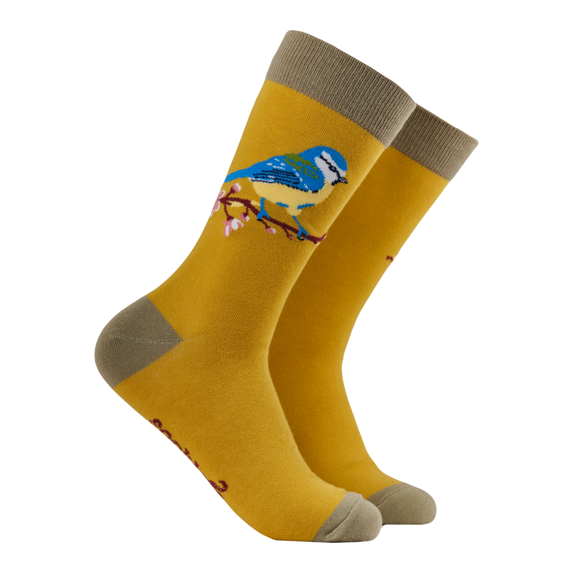 Blue Tit Socks - Robert E Fuller