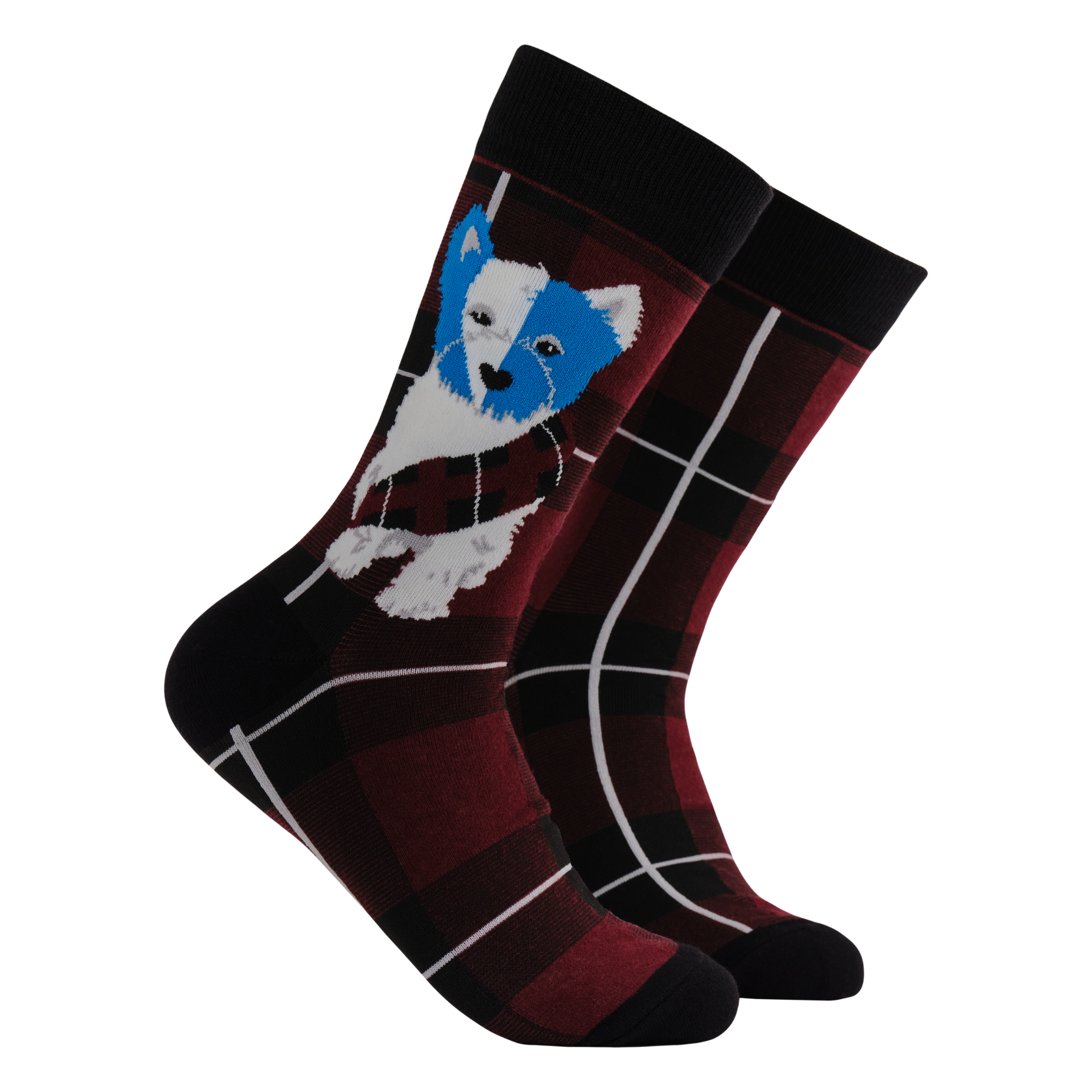 Braveheart Westie Dog Socks