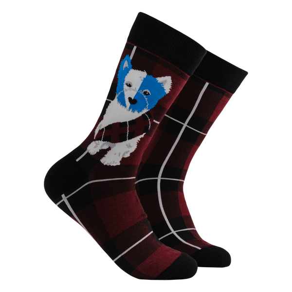 Braveheart Westie Dog Socks