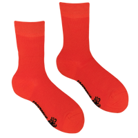 Bucks Fizz - Bamboo Colours Socks