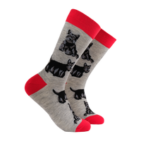 Scottie Socks - Beam Me Up Scottie