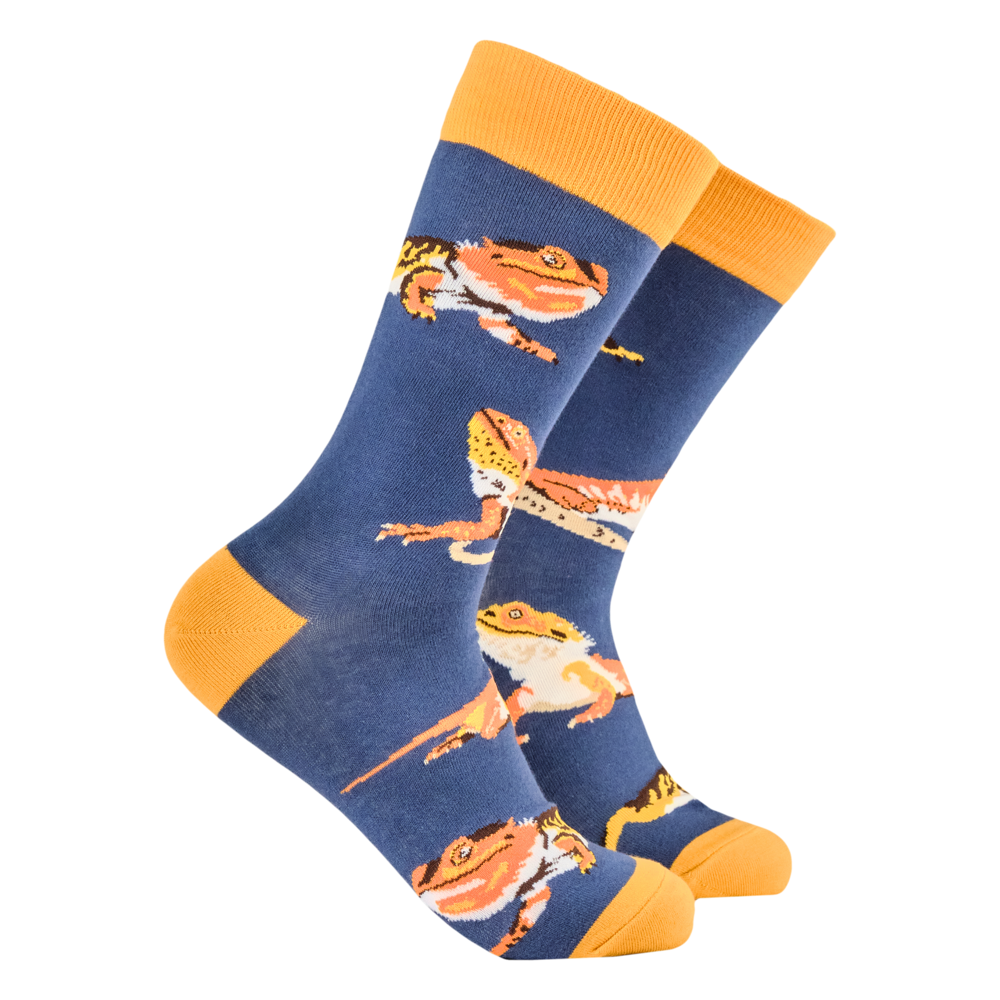 Bearded Dragon Socks