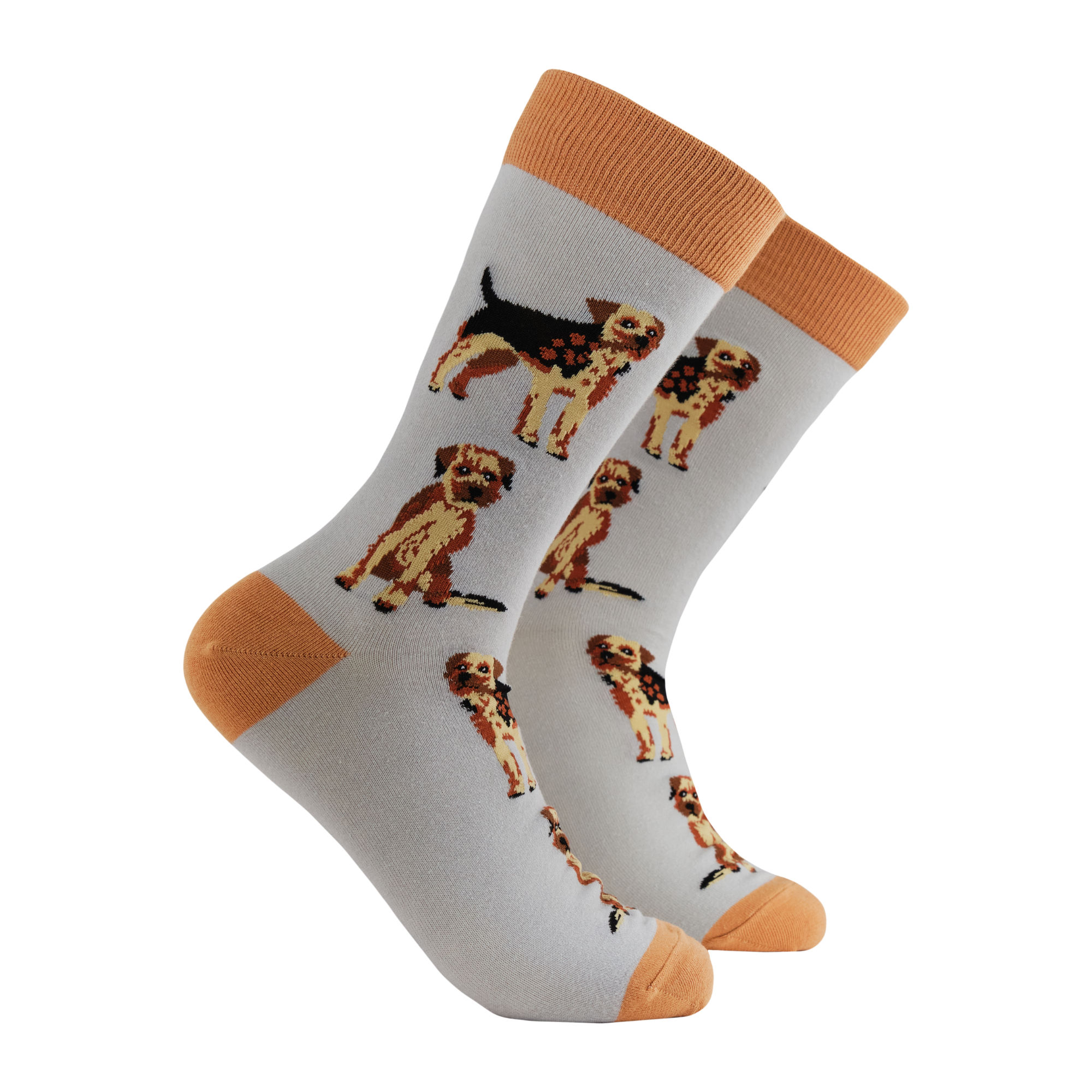 Border Terrier Socks - Borderline Obsessed