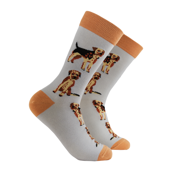 Border Terrier Socks - Borderline Obsessed
