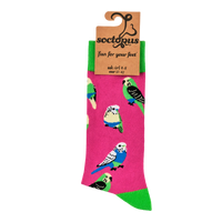 Bird Socks - Budgie Smugglers