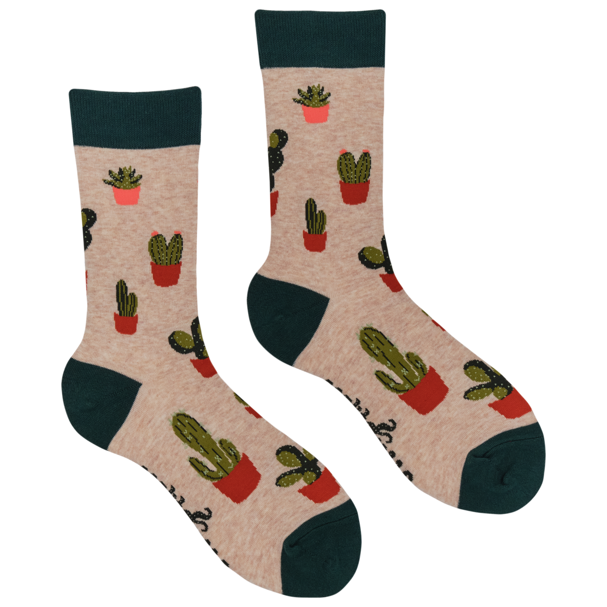 Cactus Socks - Cactoes