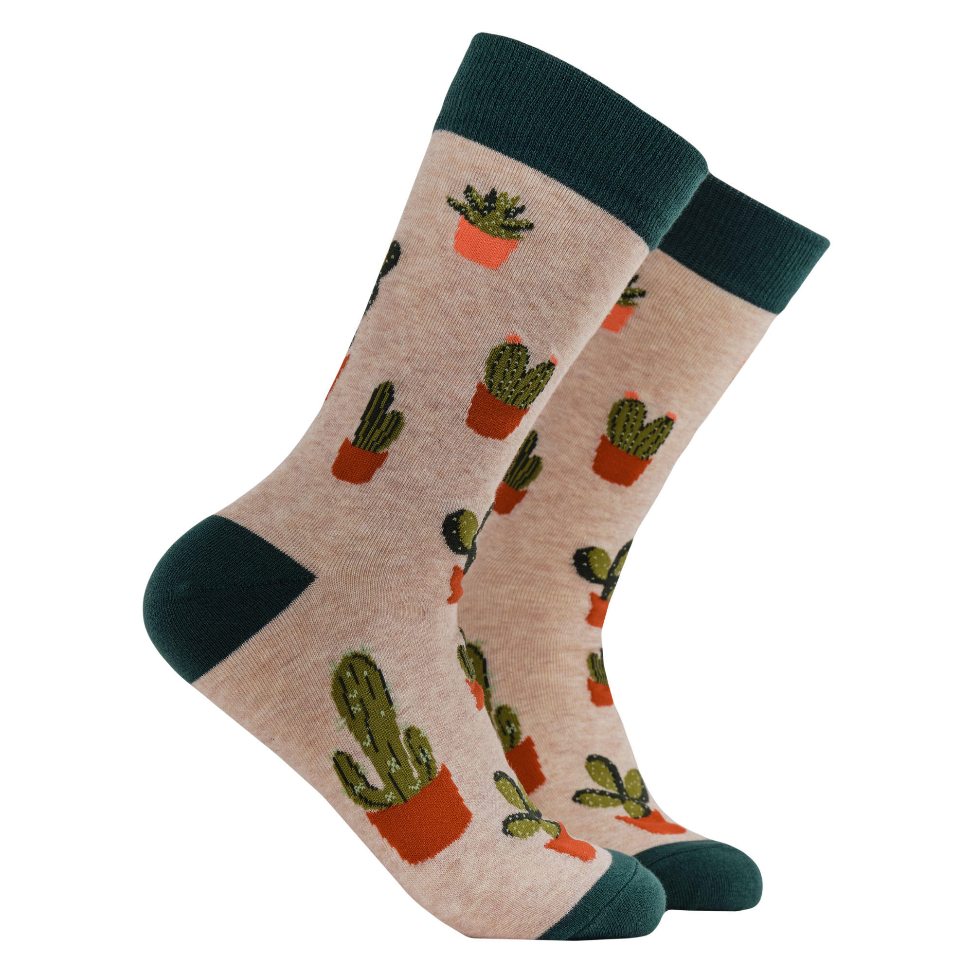 Cactus Socks - Cactoes