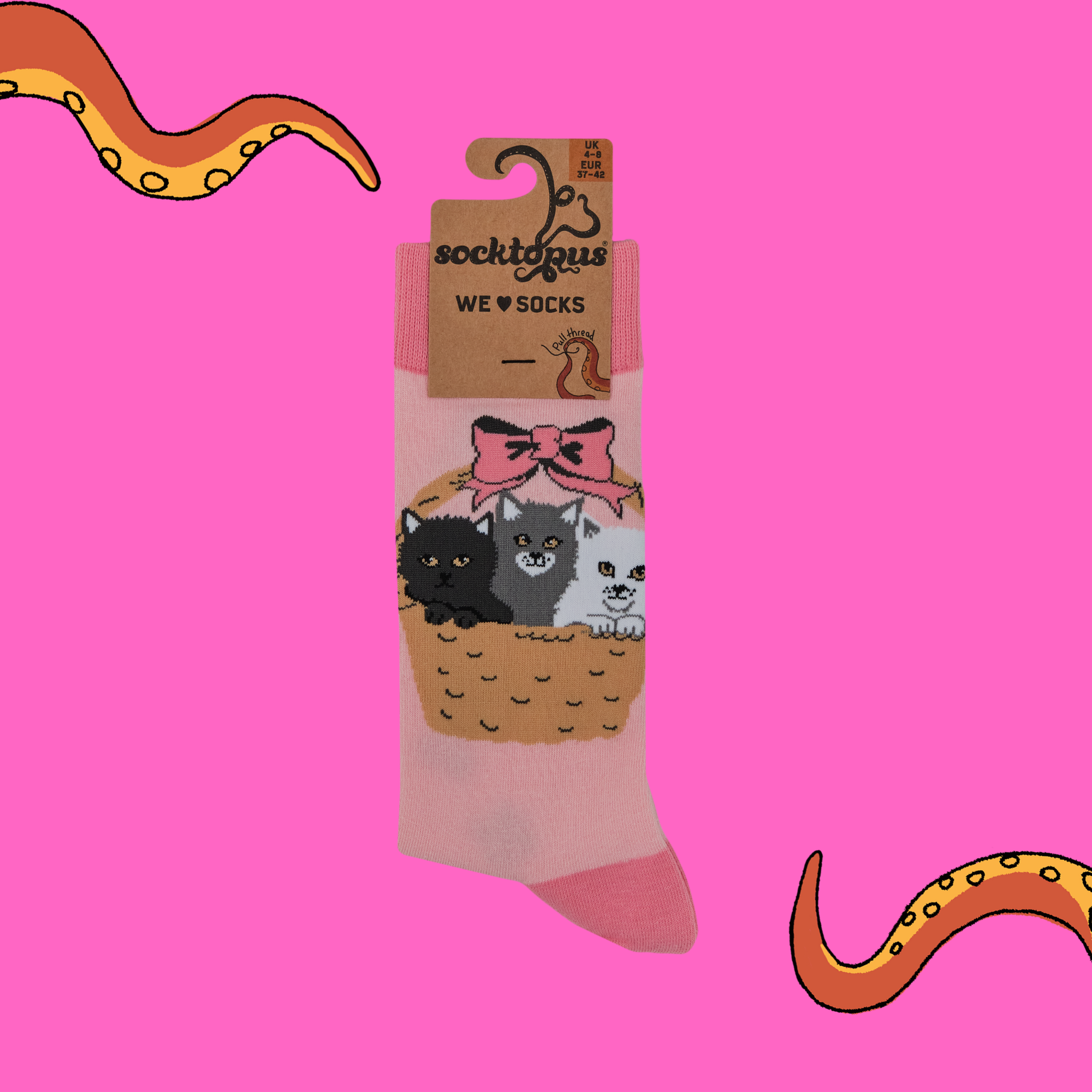 Kitten Socks - Litter Basket