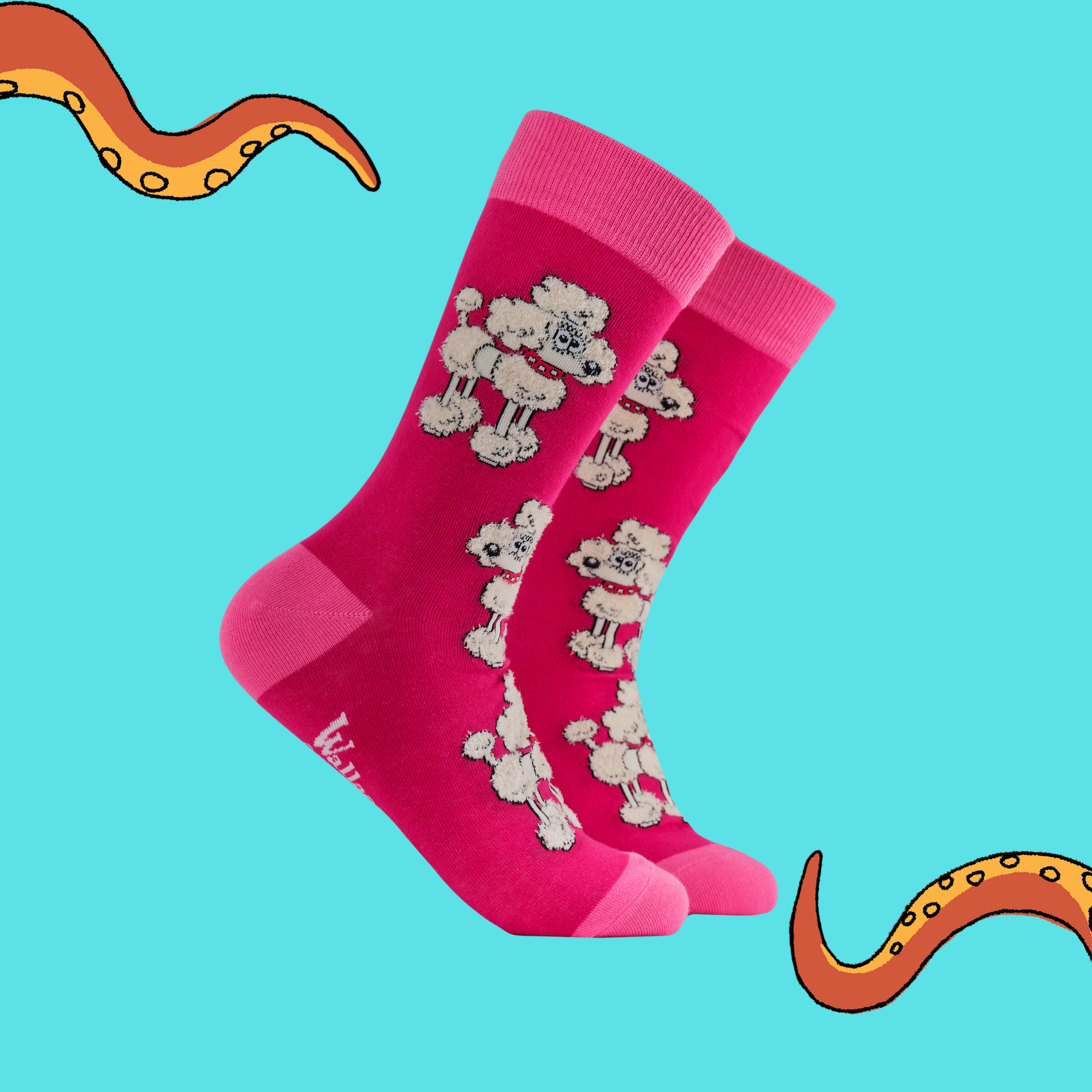 Fluffy Fluffles Socks - Wallace and Gromit