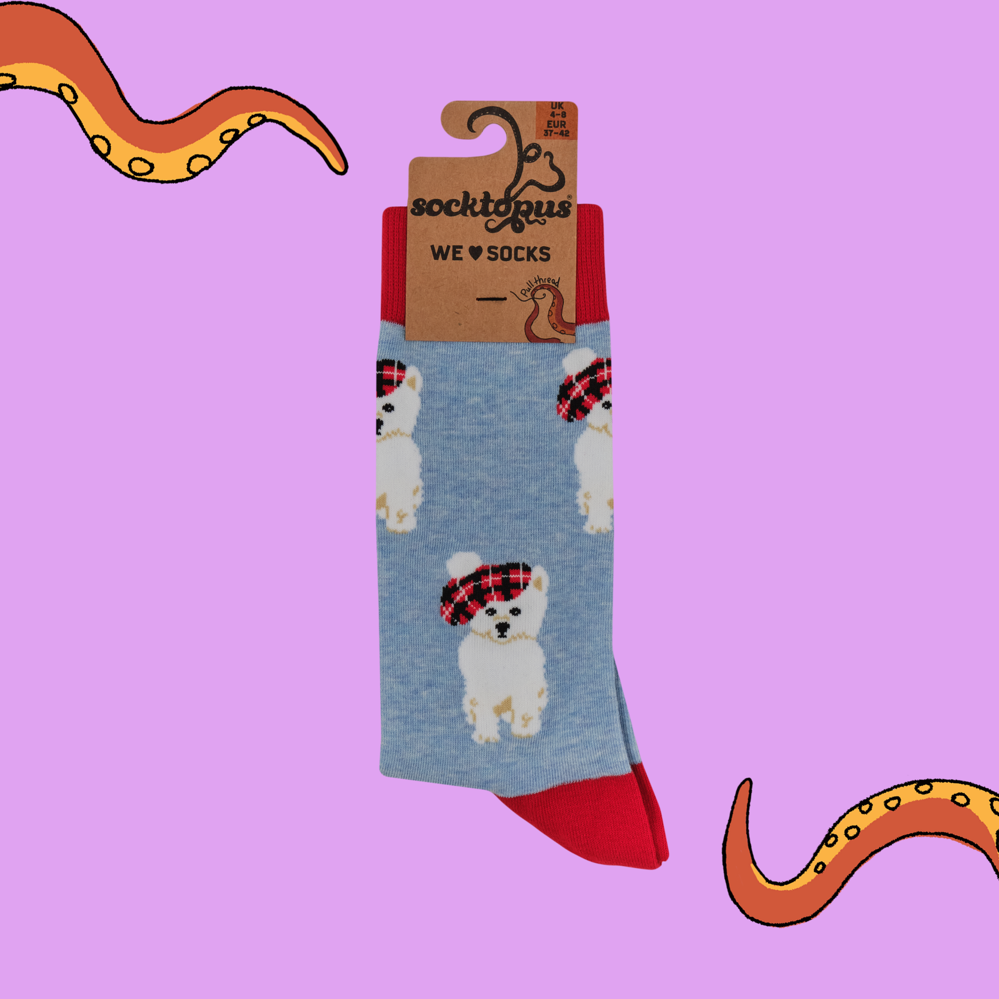 Tartan Westie Dog Socks