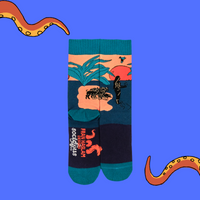 Circe's Island Socks - Fran Haslam