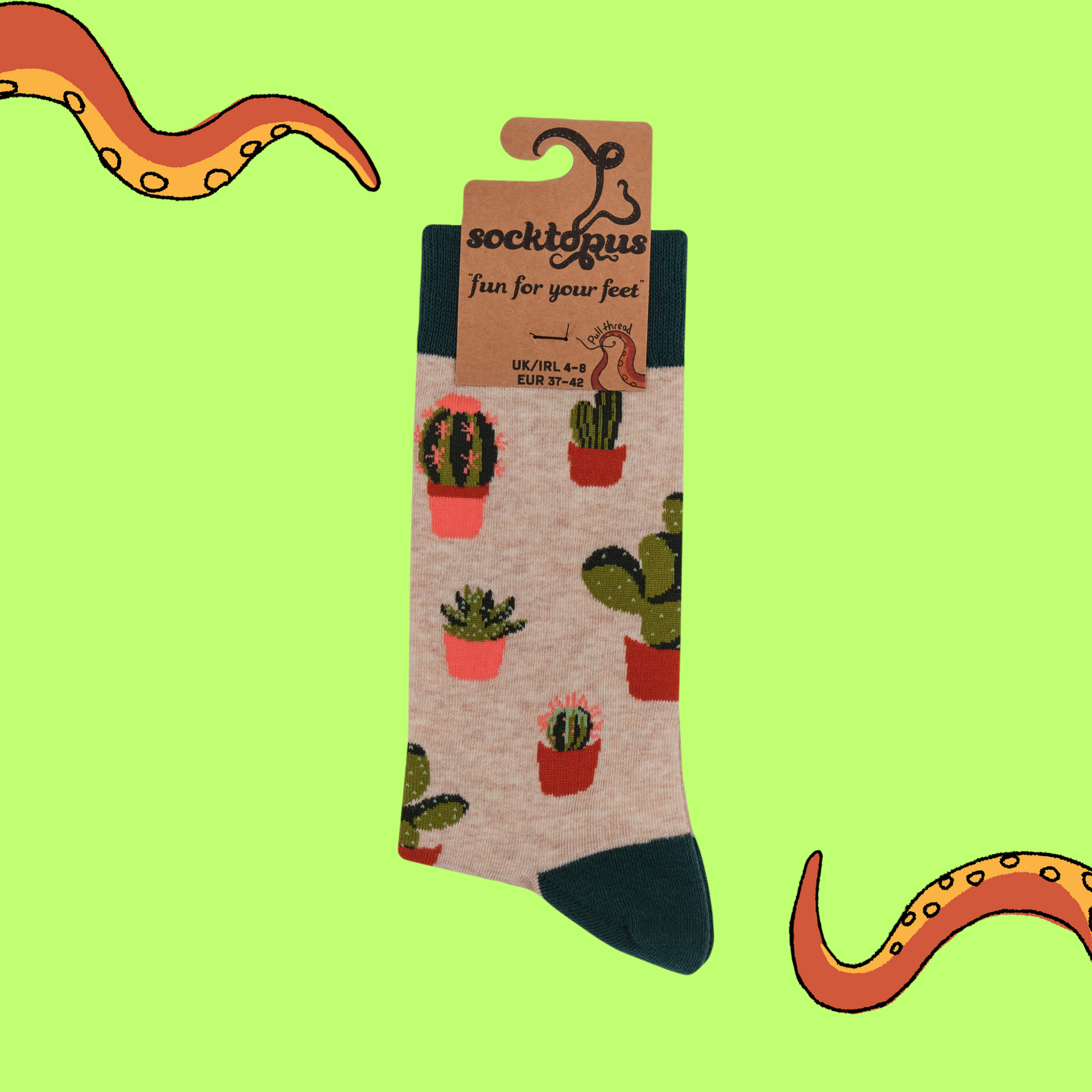 Cactus Socks - Cactoes