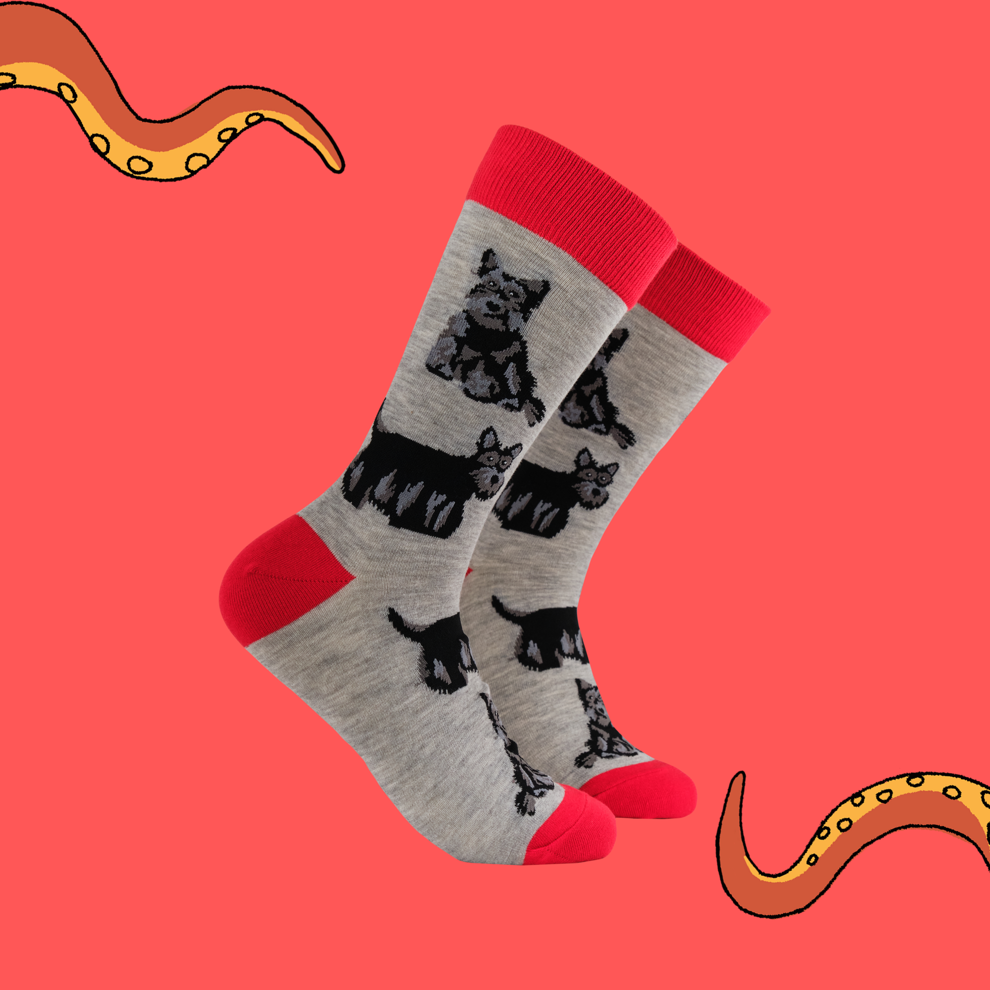 Scottie Socks - Beam Me Up Scottie