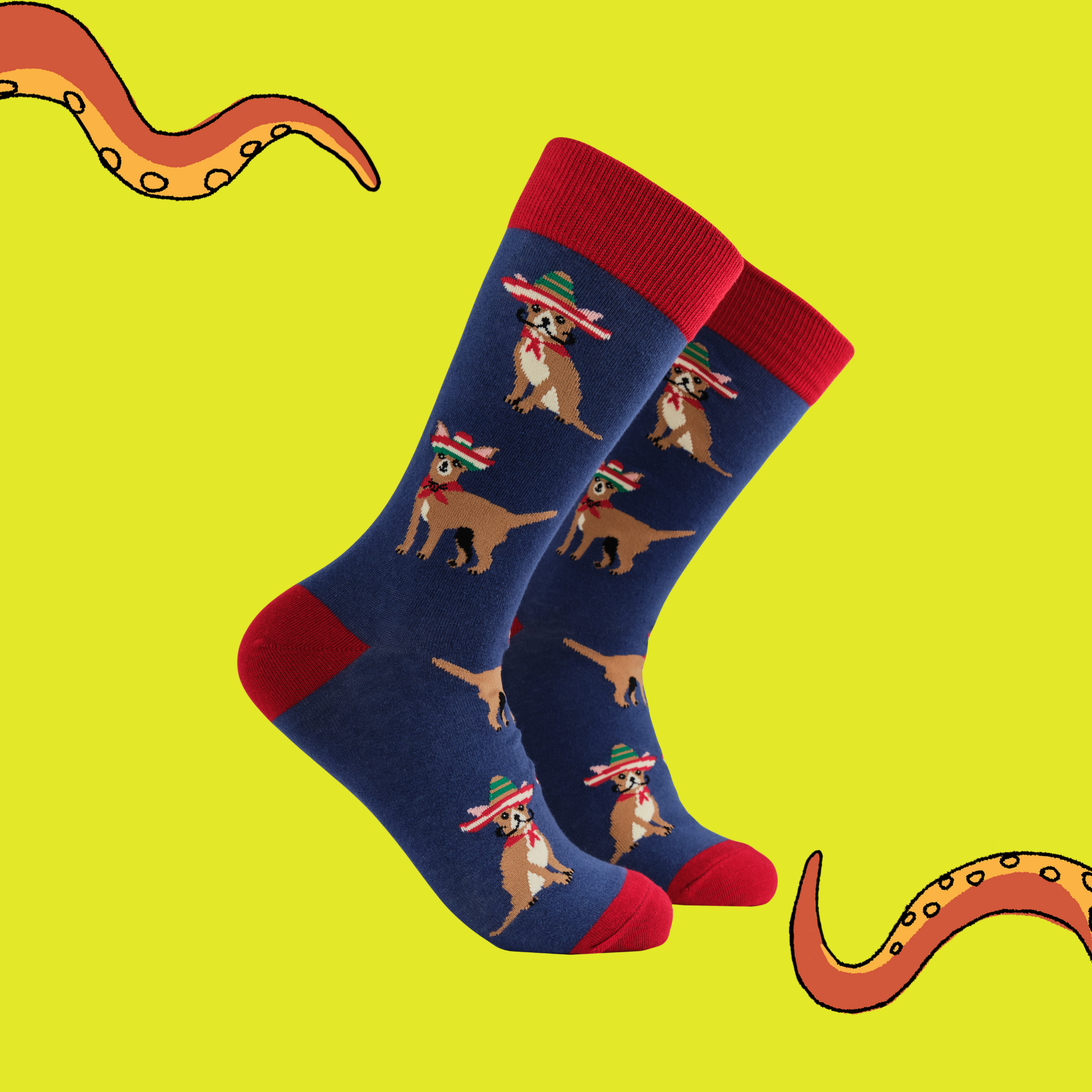 Chihuahua Socks - Pico de Chihuahuo