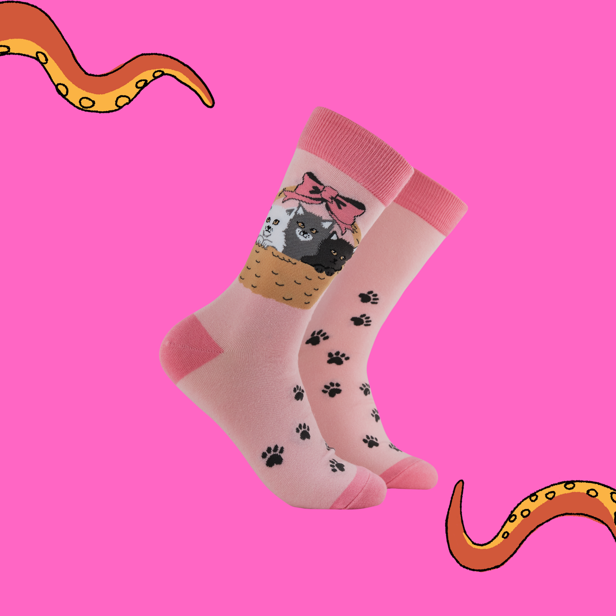 Kitten Socks - Litter Basket