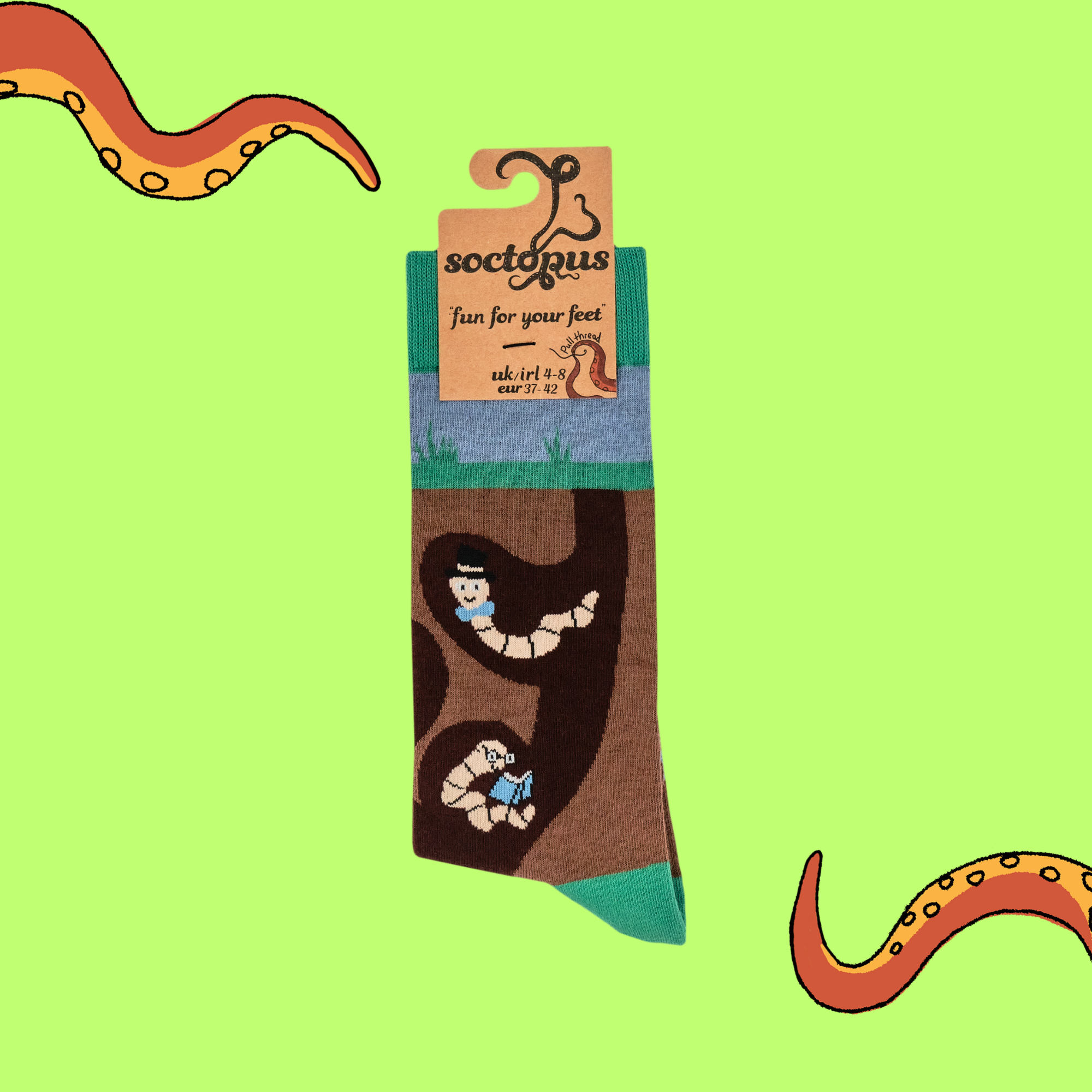 Wormery Socks