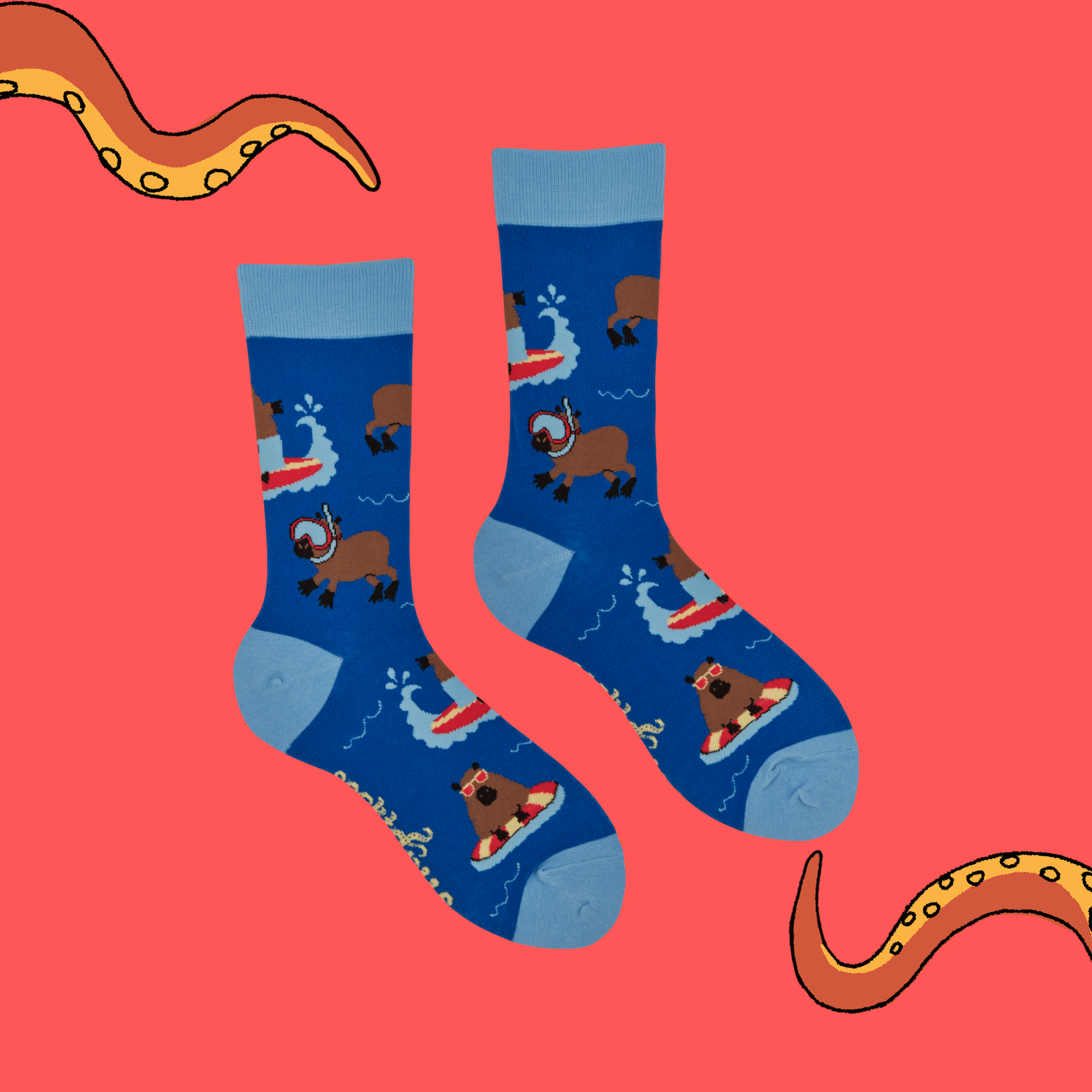 Summer Holiday Capybara Socks - Cappy Holidays