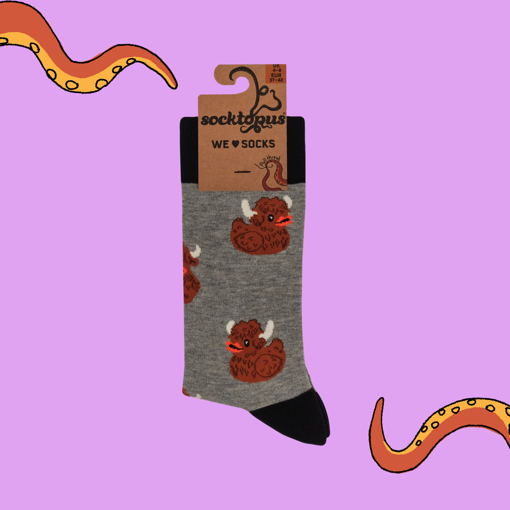 Highland Coo Rubber Duck Socks