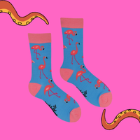 Flamingo Bamboo Socks - Flamintoes