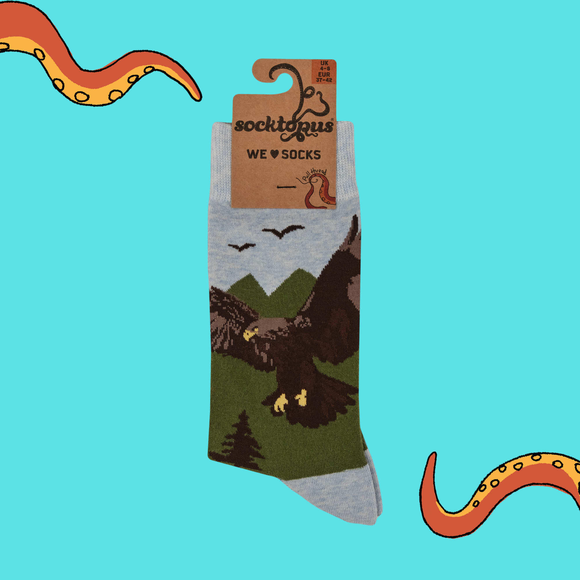 Bald Eagle Socks