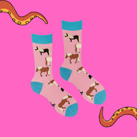 Shetland Pony Socks - My Little Pony