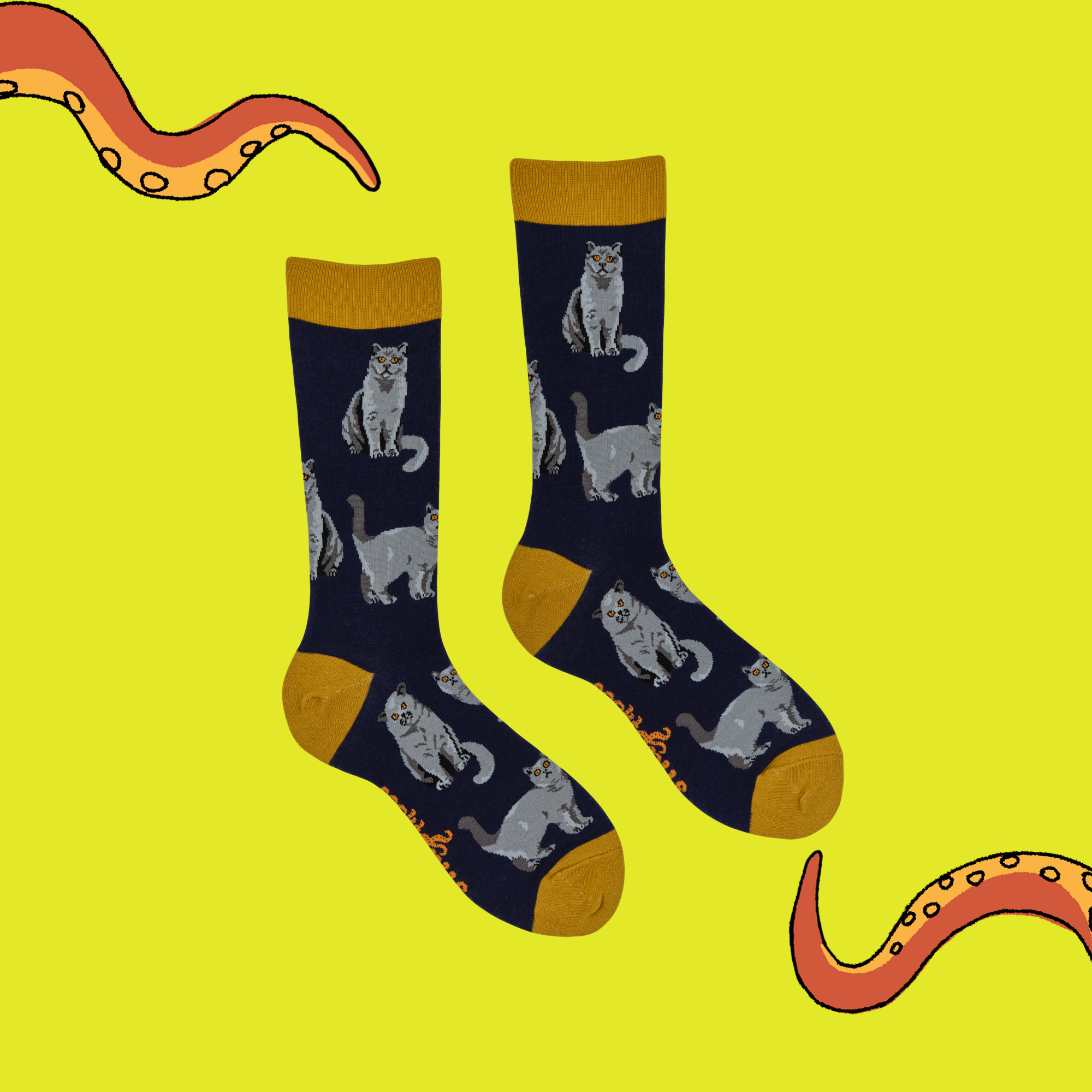 British Shorthair Cat Socks - Short Hair Don't Care