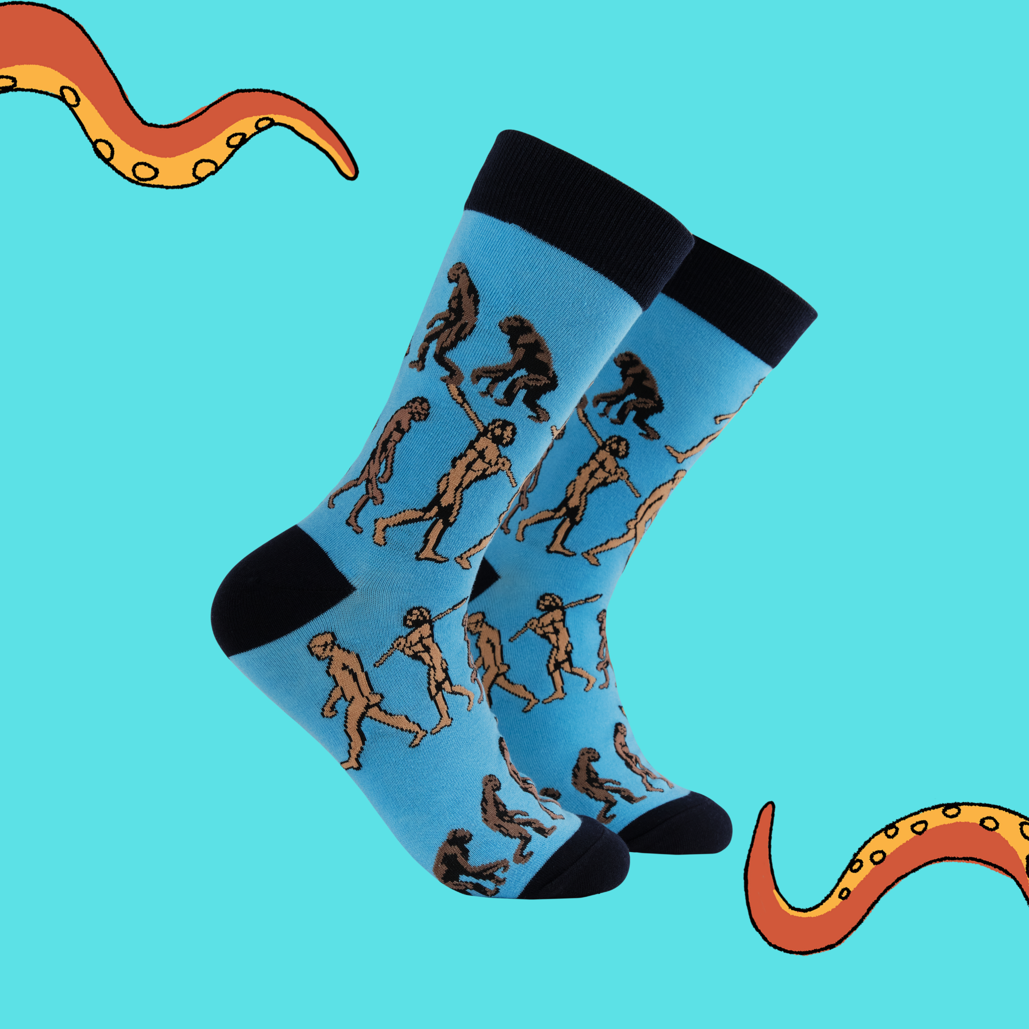 Science Socks - Theory of Evolution