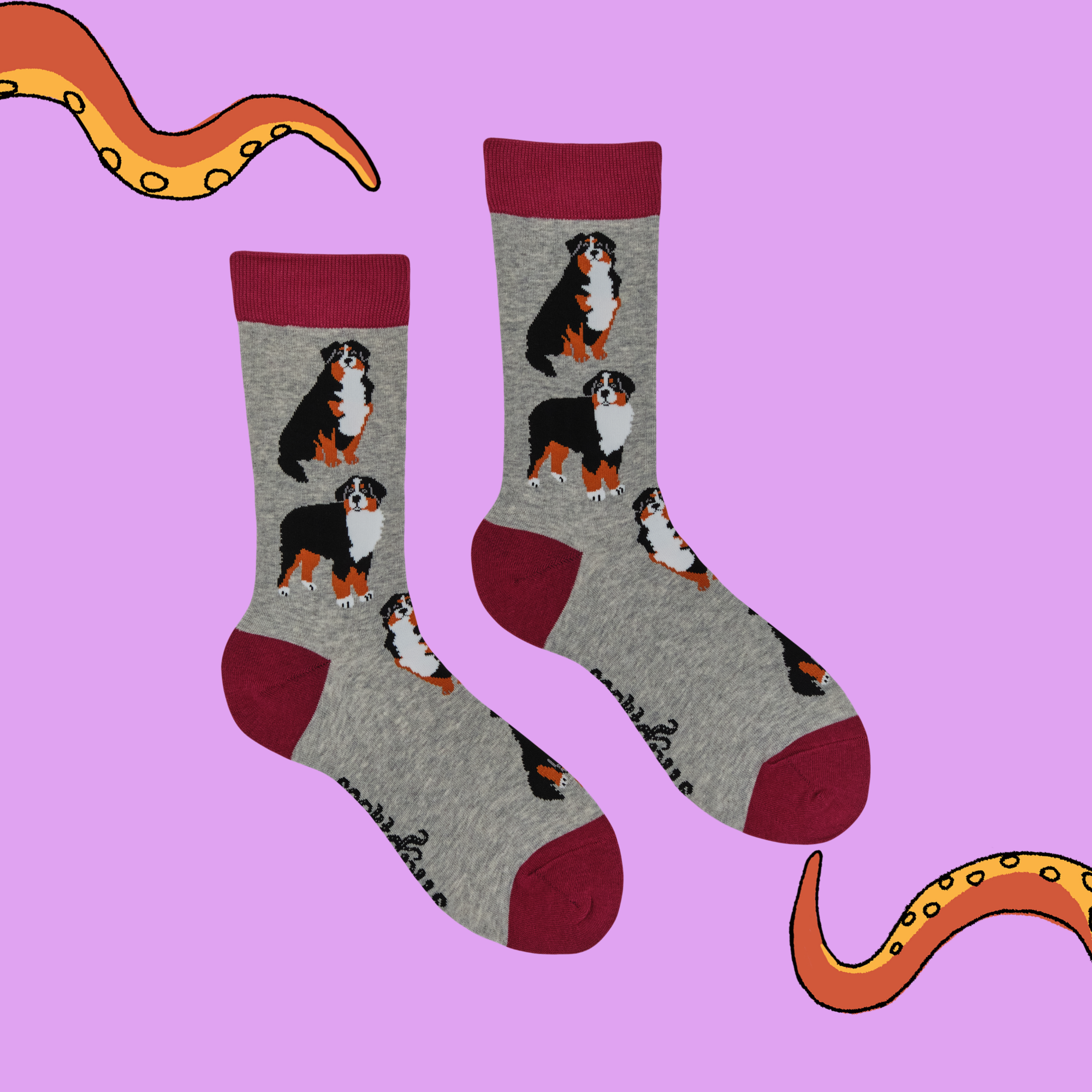 Bernese Mountain Dog Socks - Feel The Bern