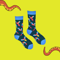Parroty Socks