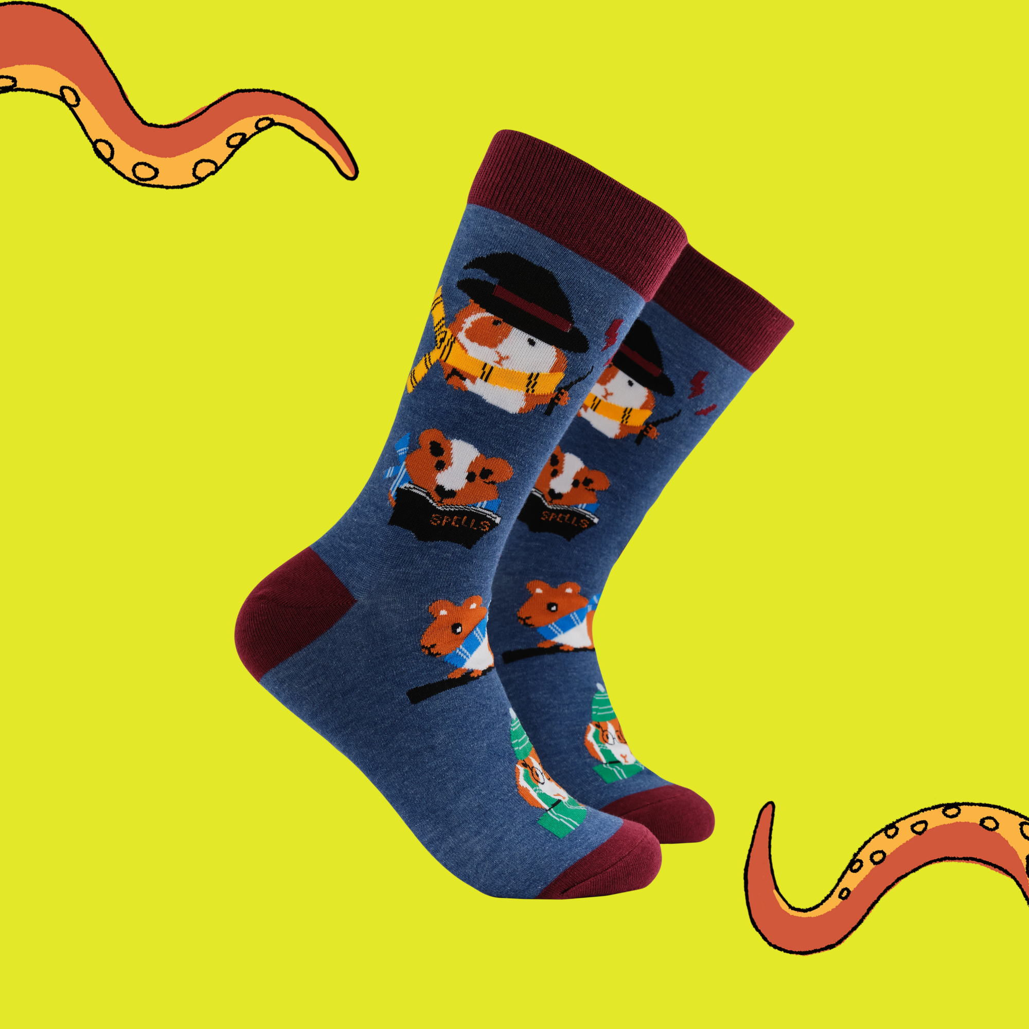 Guinea Pig Harry Potter Socks - Pigardium Leviosa