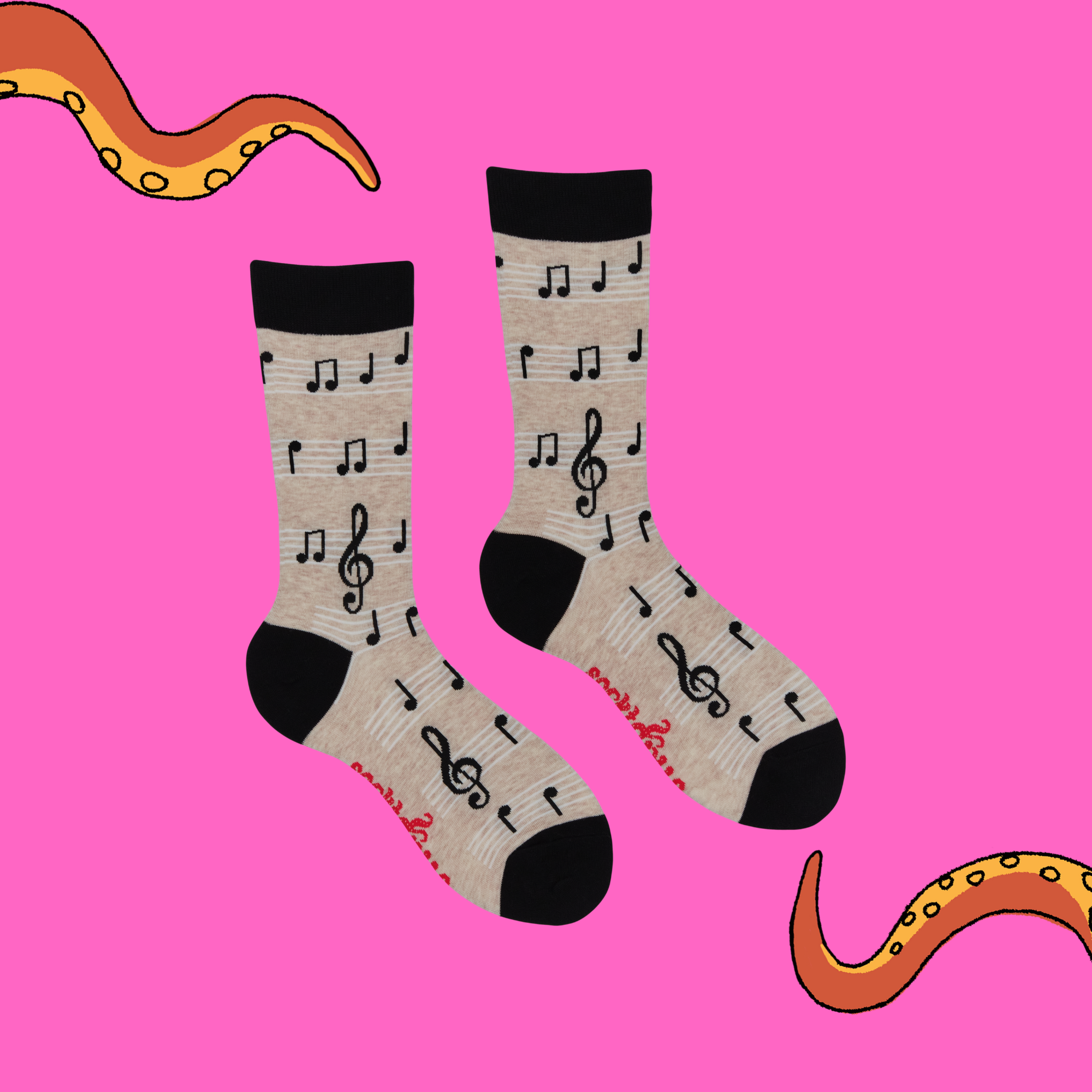 Music Socks - Footnotes