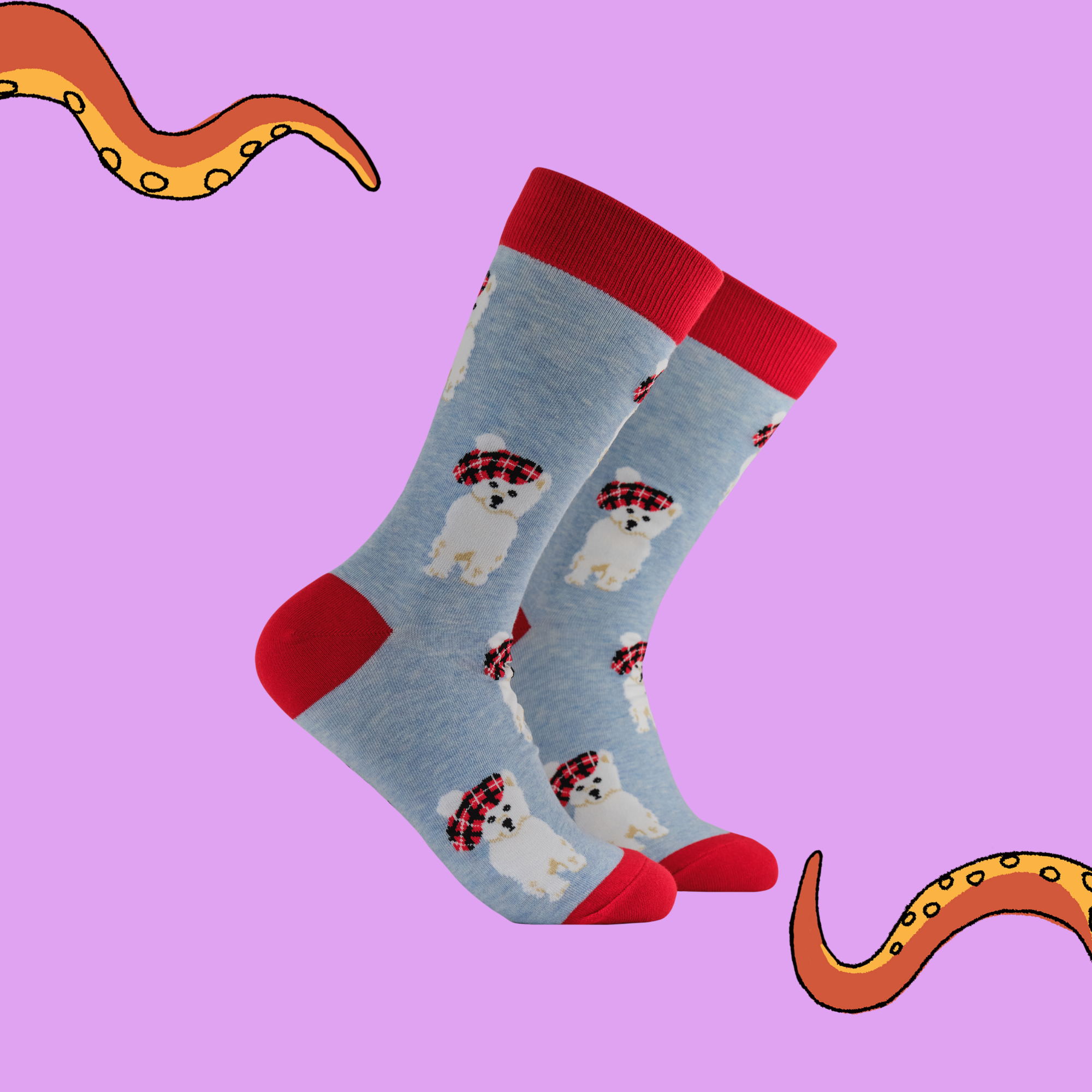 Tartan Westie Dog Socks