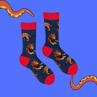 Lion Socks - Pride Of Place
