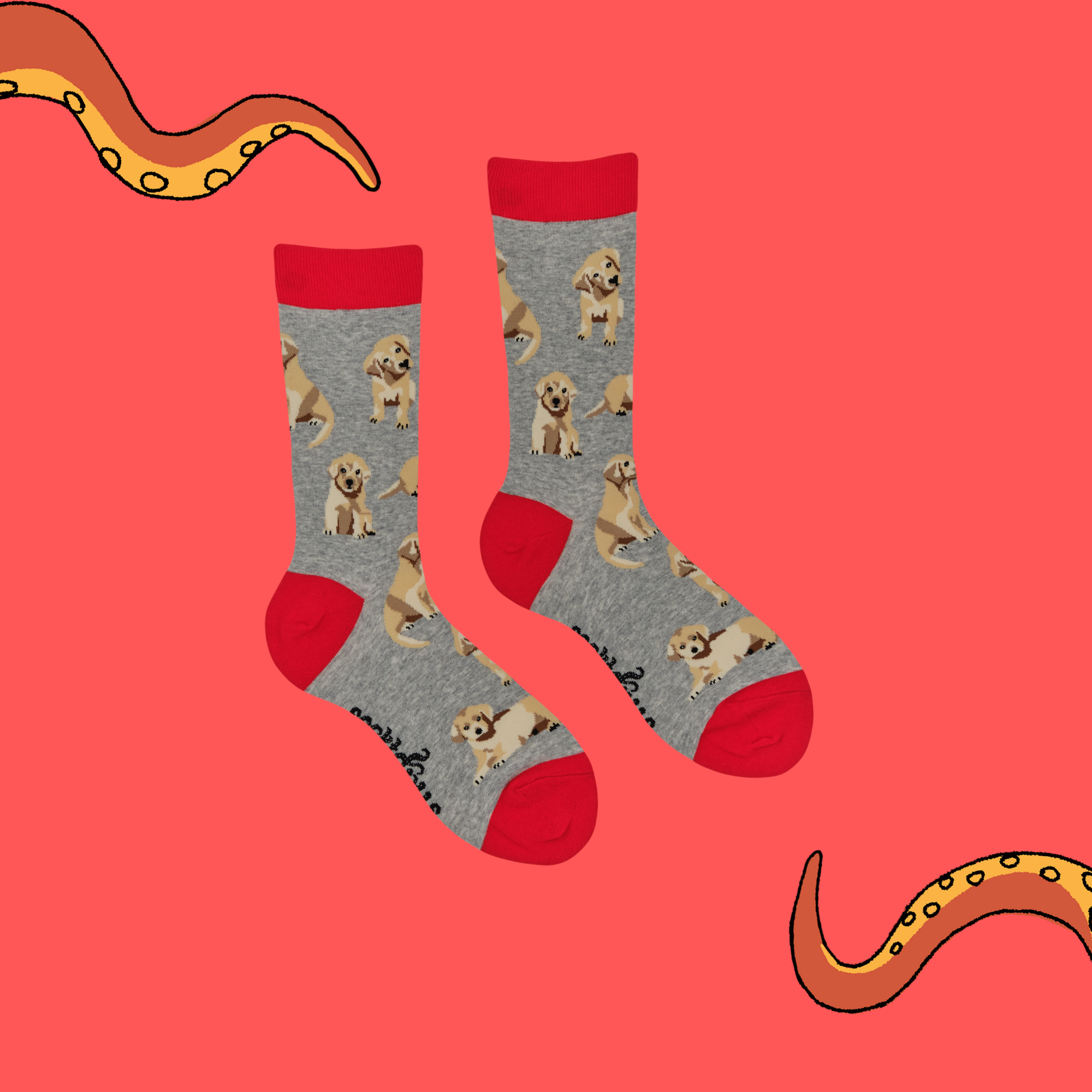 Puppy Love Socks